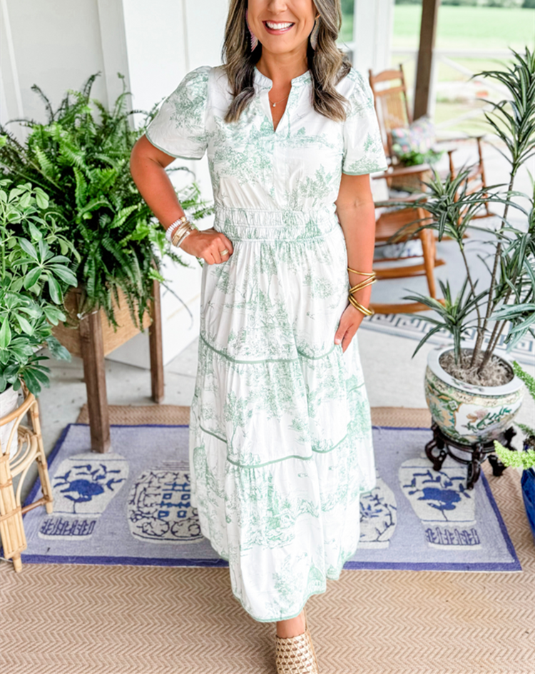 Nova - Toile Print Maxi Dress